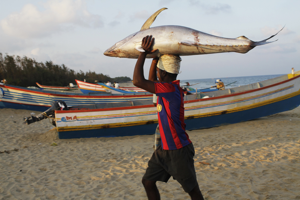 08-aurelie-miquel-photographie-reportage-inde-sud