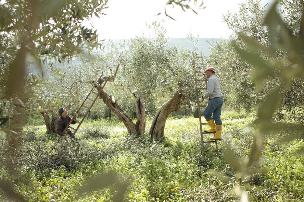 07-aurelie-miquel-photographie-sicile-casanova-slowfood